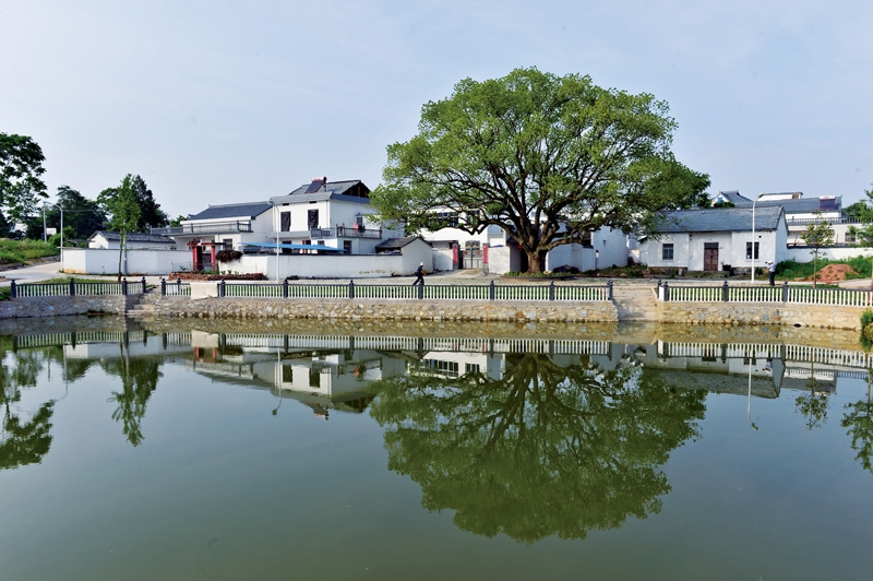 1493346097802757.jpg 望虎村上新屋.JPG